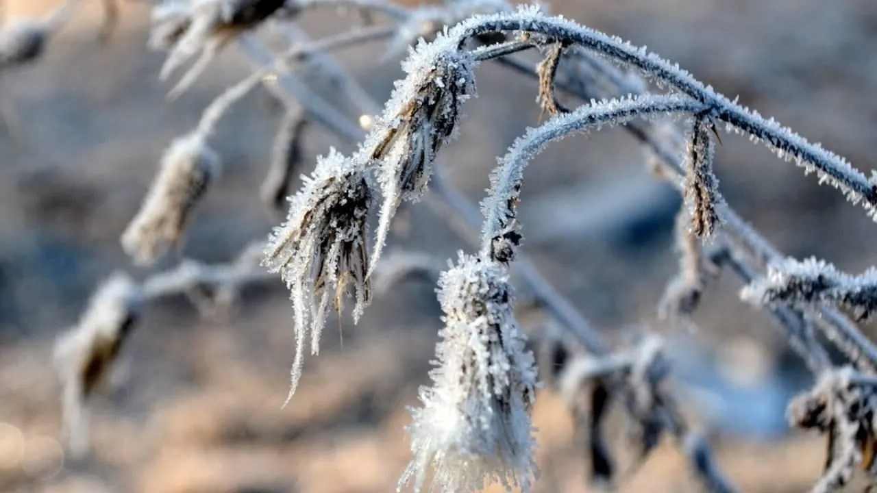 Afyonkarahisar Çiftçileri Dikkat: Zirai Don Tehlikesi Geliyor