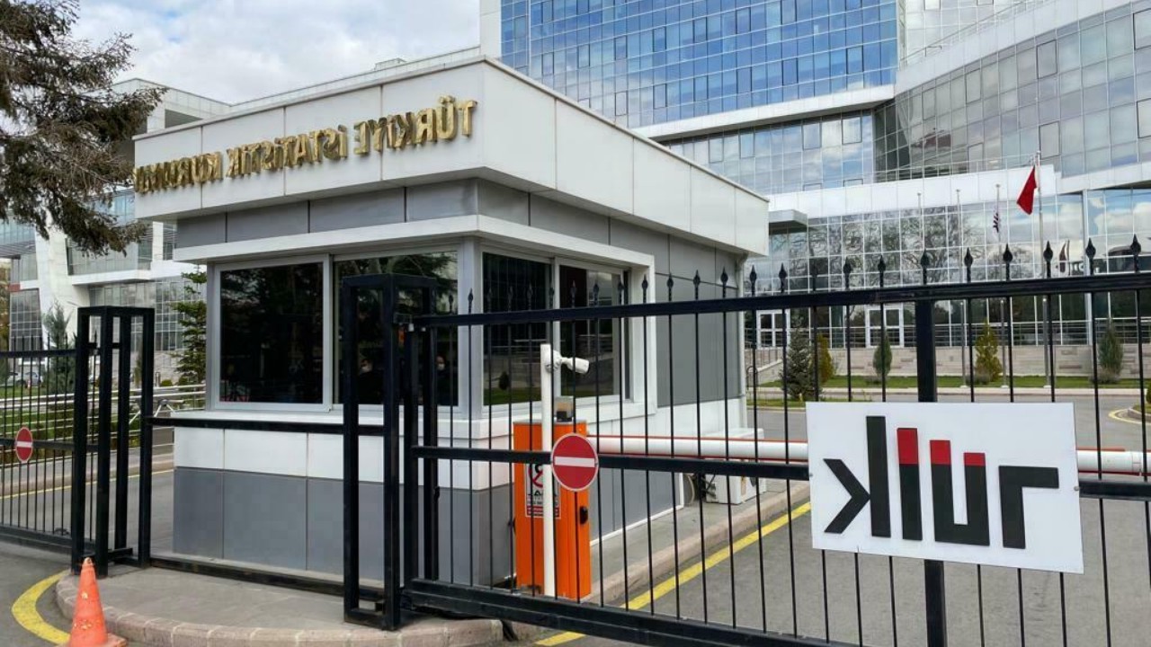 TÜİK 2024 Verileri: Fındık, Bitkisel Ürünlerde Yeterlilik Rekortmeni